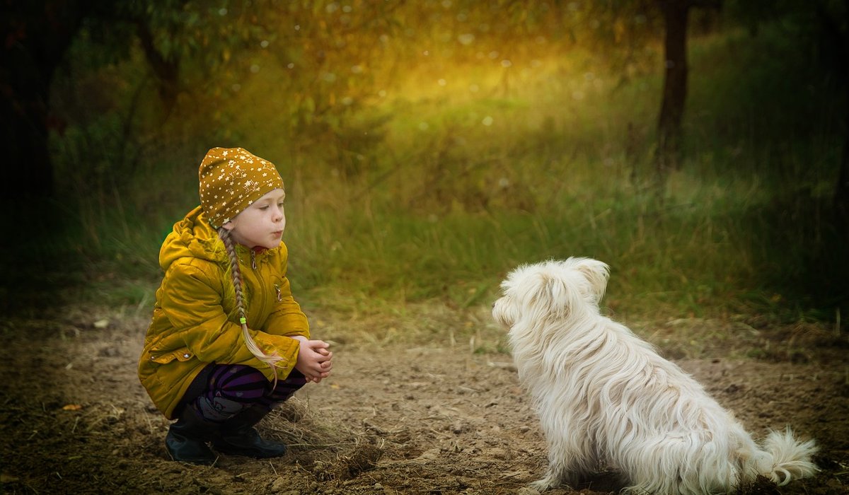 Building a Neighbourhood Kindness Calendar That Works
