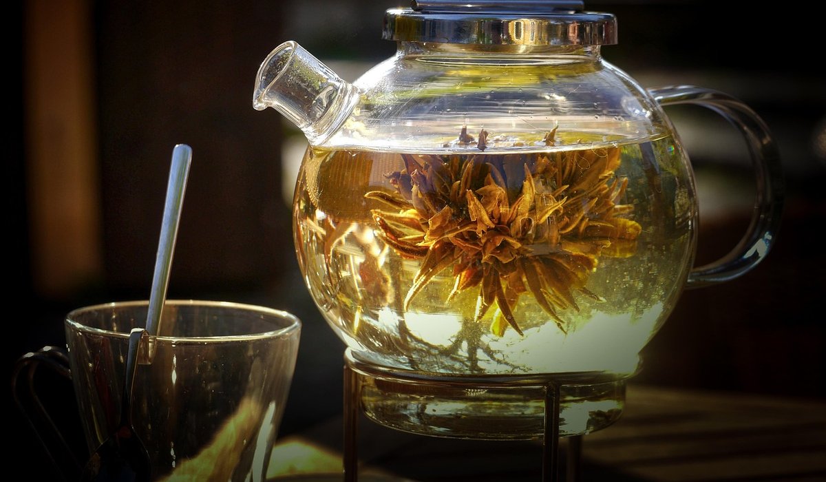 Creating a Tiny Wildlife Pond in Your Garden
