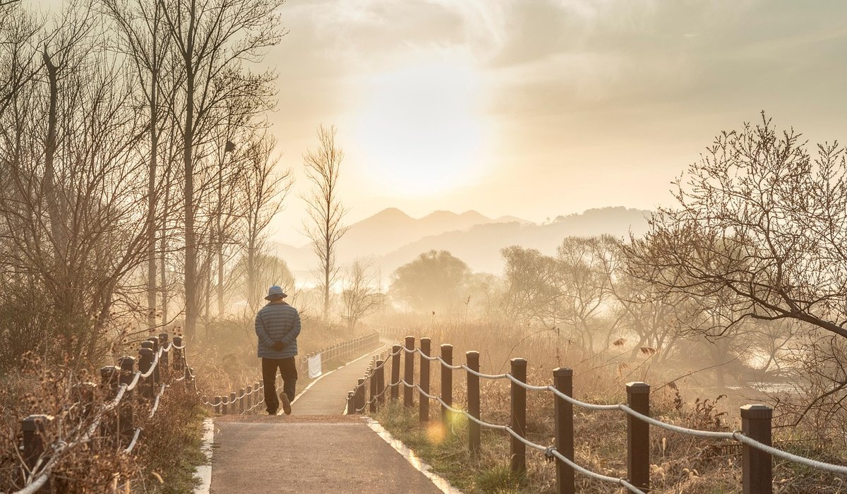 Simple Breathing Exercises for Stressful Commute Journeys